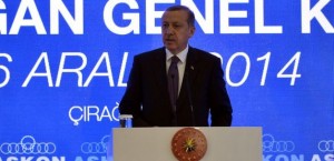 erdoganin_bir_sozu_salonu_ayaga_kaldirdi_1417862349_2113